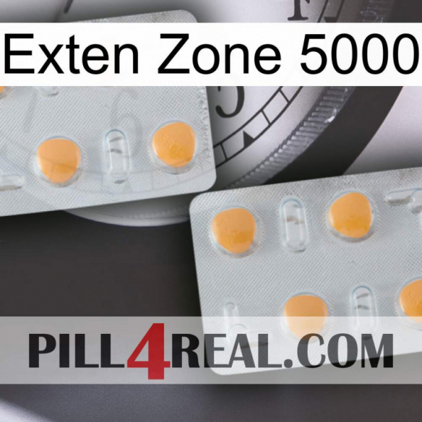 Exten Zone 5000 25.jpg